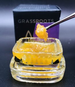 Review Mac Live Sugar Honey Bucket By Grassroots Illinois News Joint