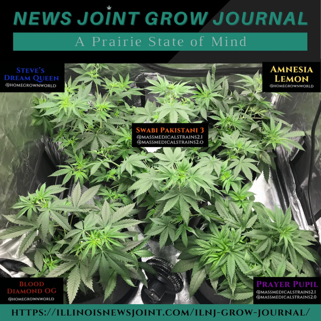 News Joint Grow Journal 9