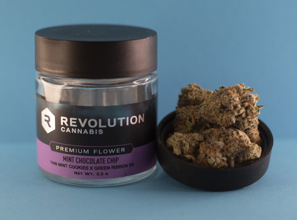 Mint Chocolate Chip by Revolution