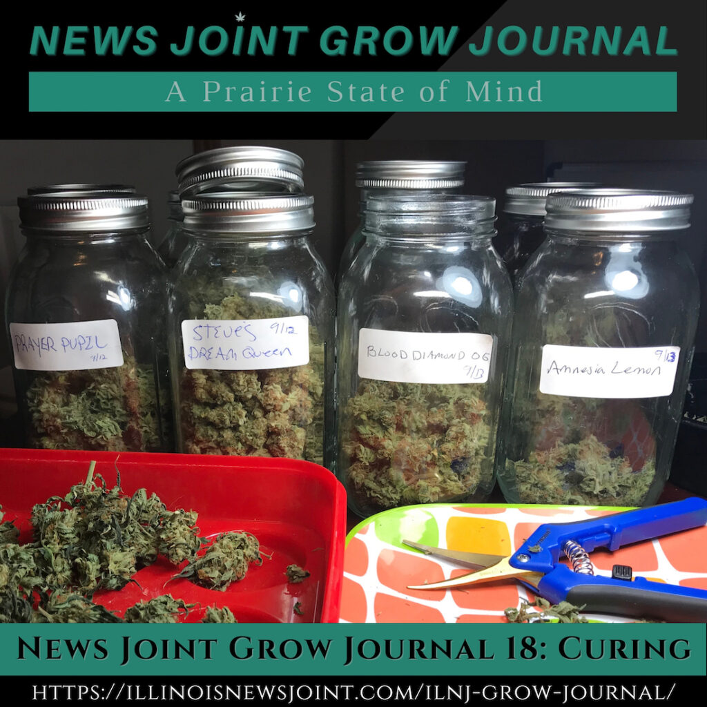 News Joint Grow Journal 18: Curing