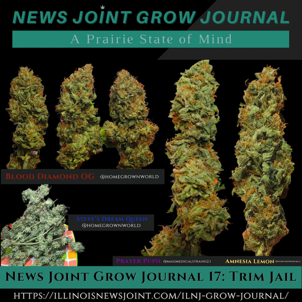 News Joint Grow Journal 16