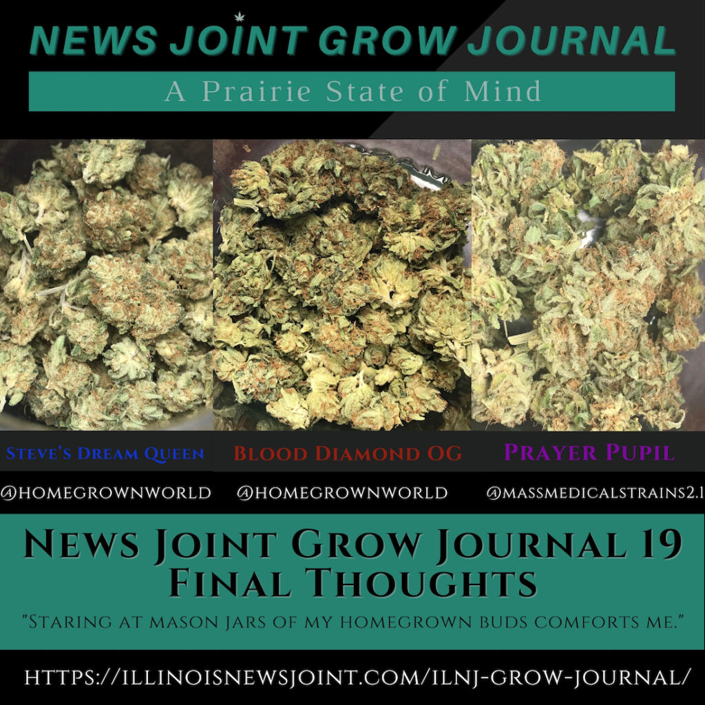 News Joint Grow Journal 19: Final Thoughts