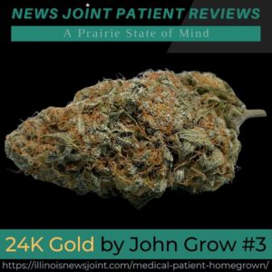 24K Gold strain
