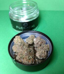 Kush Mints by Floracal Farms
