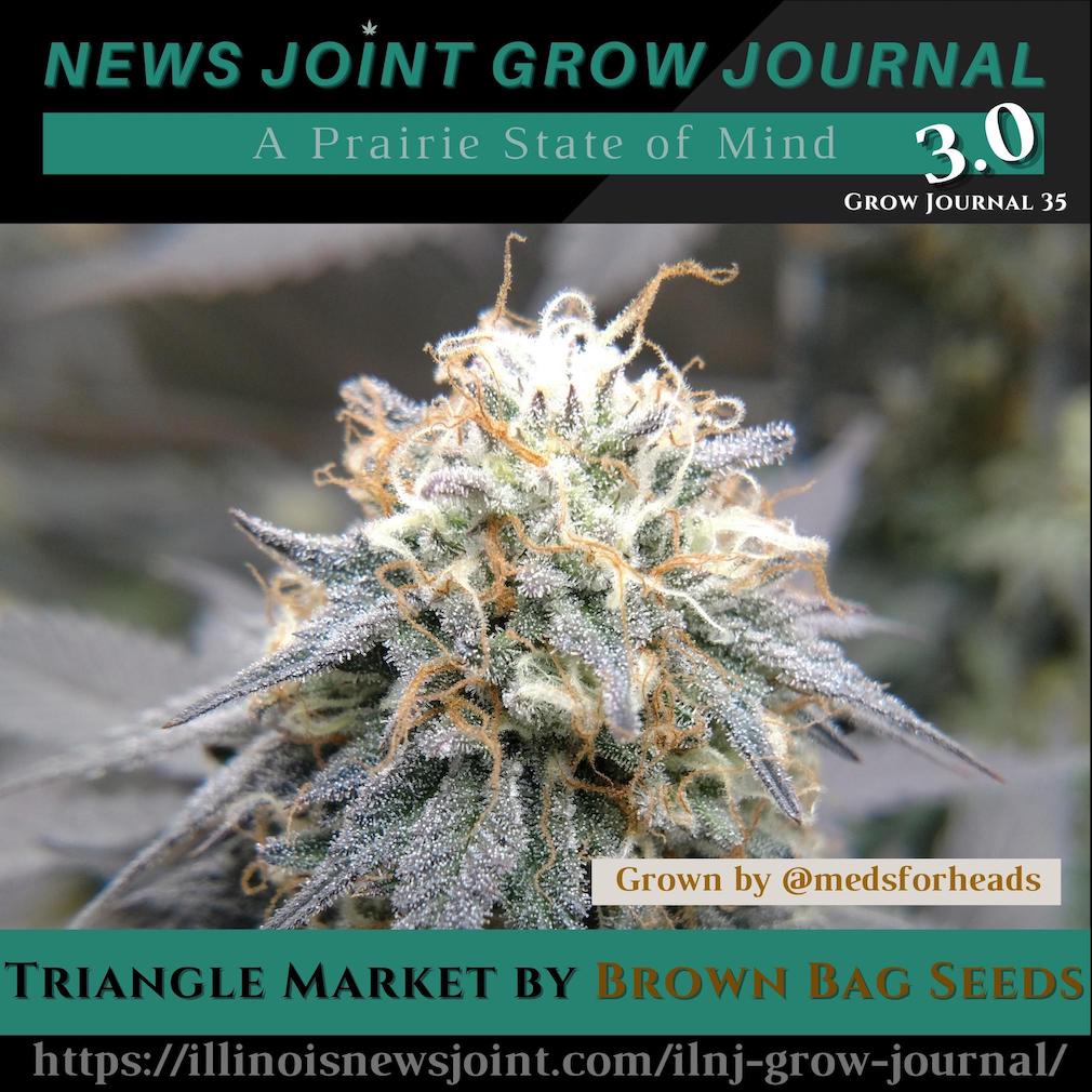 News Joint Grow Journal