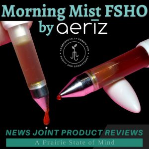 Morning Mist FSHO by Aerīz