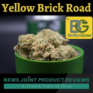 Yellow Brick Road by Bedford Grow