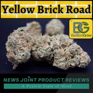 Yellow Brick Road by Bedford Grow