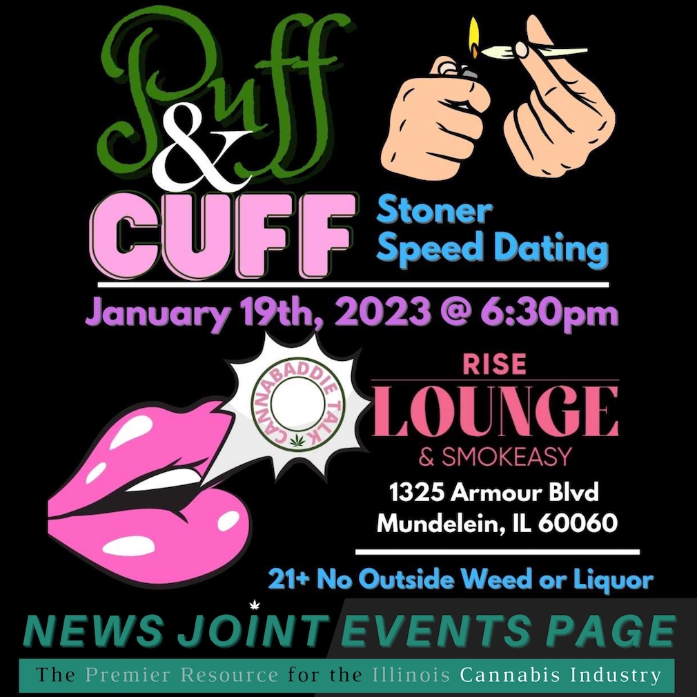 niu fusion chicago speed dating event