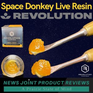 Space Donkey Live Resin by Revolution
