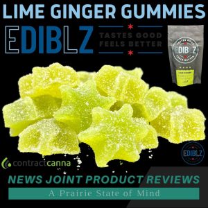 Lime Ginger Gummies by Dibz