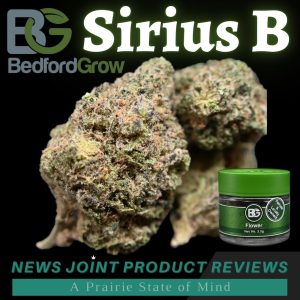 Sirius B by Bedford Grow