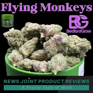 Flying Monkeys by Bedford Grow