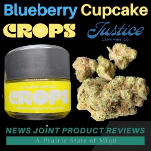 Blueberry Cupcake by Crops