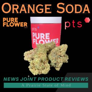Orange Soda by PTS