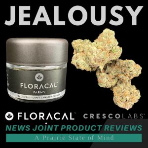 Jealousy by FloraCal