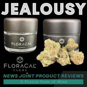 Jealousy by FloraCal