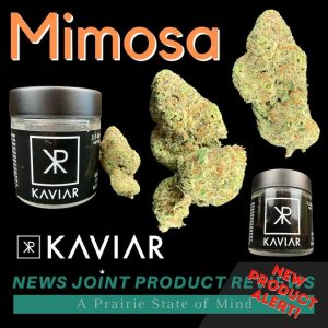 Mimosa by Kaviar