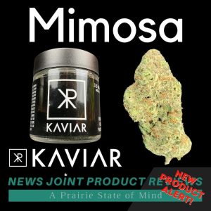 Mimosa by Kaviar