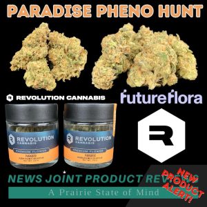 Future Flora Pheno Hunt: Paradise by Revolution