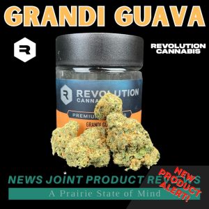 Grandi Guava by Revolution