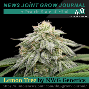 News Joint Grow Journal 41: Lemon Tree