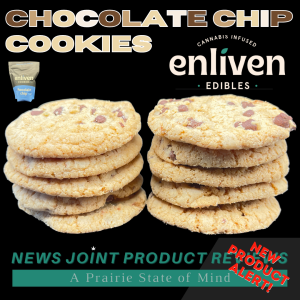 Chocolate Chip Cookies by Enliven