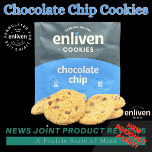 Chocolate Chip Cookies by Enliven