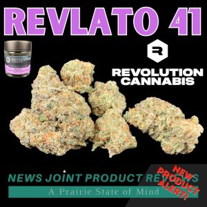 Revlato 41 by Revolution
