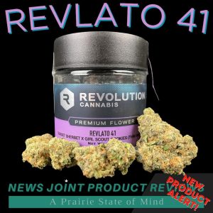 Revlato 41 by Revolution