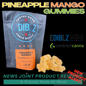 Pineapple Mango Gummies by Dibz