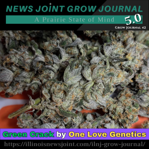 News Joint Grow Journal 42: Green Crack, Part I