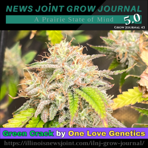 News Joint Grow Journal 43: Green Crack, Part II
