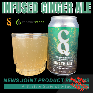 Infused Ginger Ale by CQ