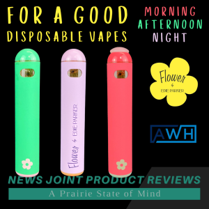 For A Good Morning, Afternoon, and Night Disposable Vapes by Edie Parker
