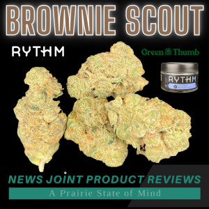 Brownie Scout by Rythm
