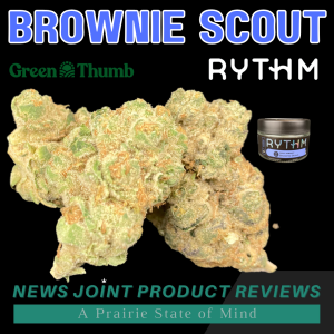 Brownie Scout by Rythm