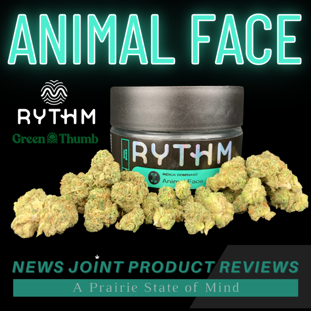 Animal Face by Rythm