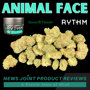 Animal Face by Rythm