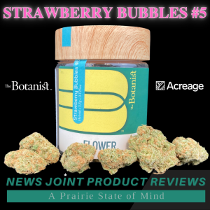 Strawberry Bubbles #5 by The Botanist
