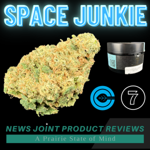 Space Junkie by Triple 7