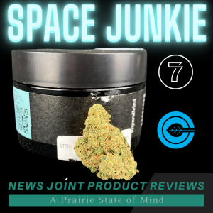 Space Junkie by Triple 7