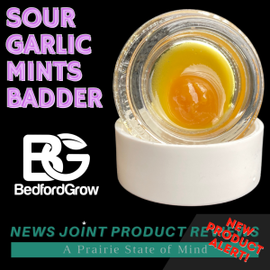 Sour Garlic Mints Live Badder by Bedford Grow