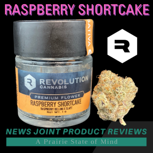 Raspberry Shortcake by Revolution