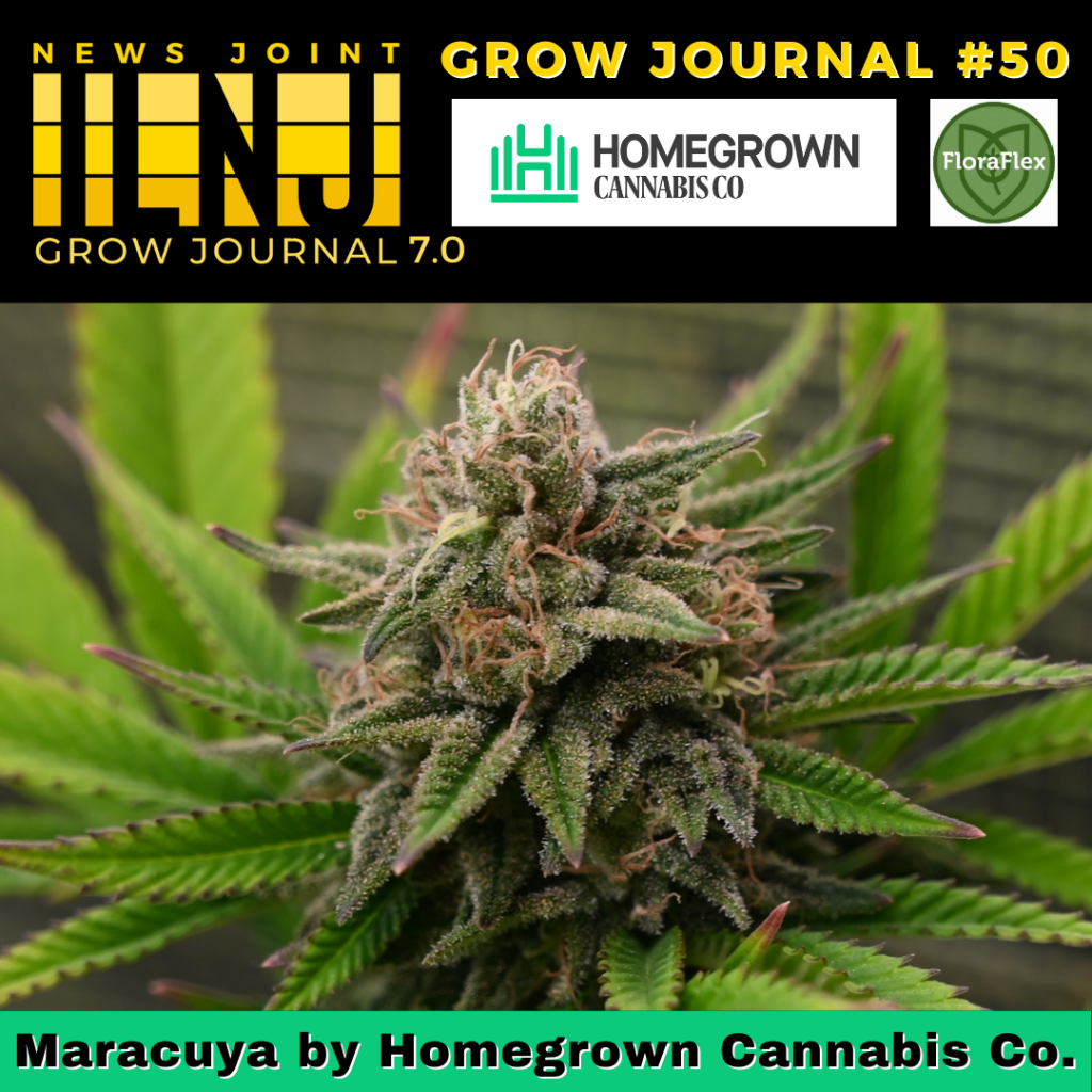 Maracuya by Homegrown Cannabis Co.
