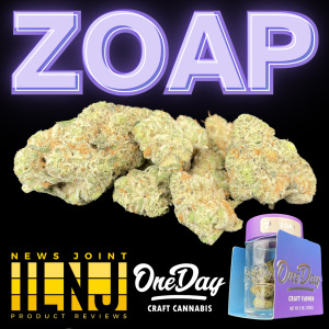 Zoap by One Day