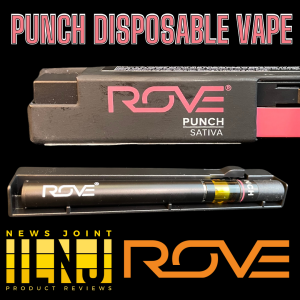 Punch Disposable Vape by Rove